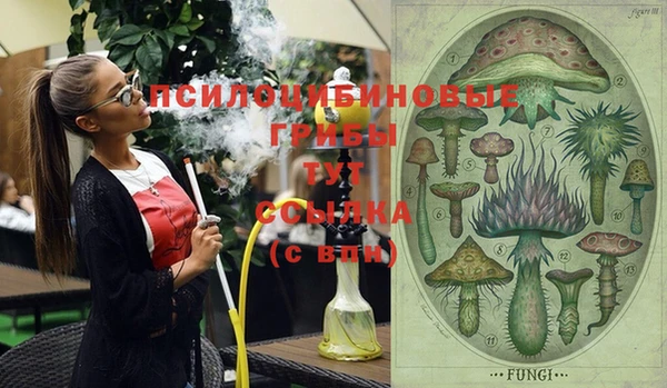 тгк Няндома